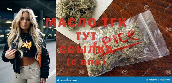 хмурый Абаза