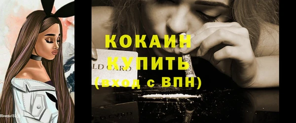 хмурый Абаза