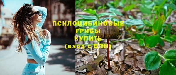 хмурый Абаза