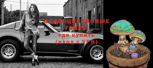 бошки Алзамай