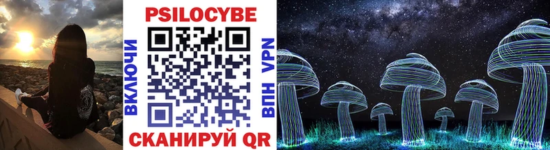 Псилоцибиновые грибы Cubensis Хасавюрт