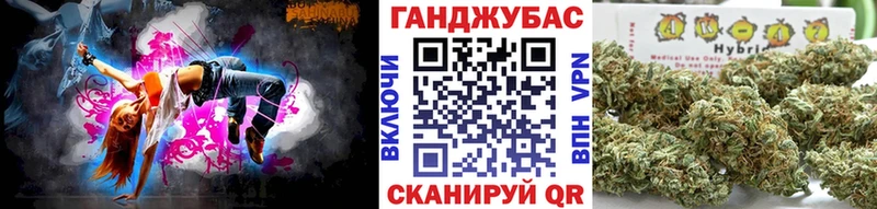 как найти закладки  МЕГА рабочий сайт  Шишки марихуана план  Хасавюрт 